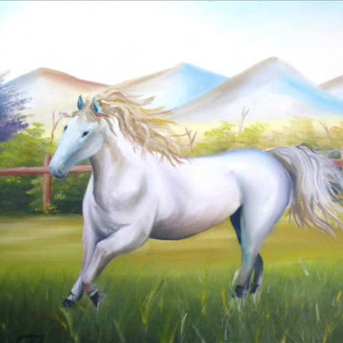 Student Portfolio 2008