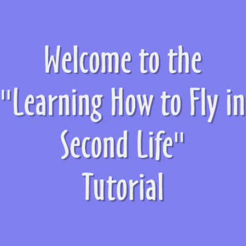 Learning How to Fly in Second Life
