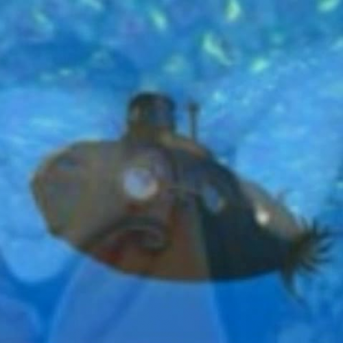 Andy Leaves the Ocean