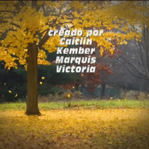 NWCHS spanish2 - Caballos