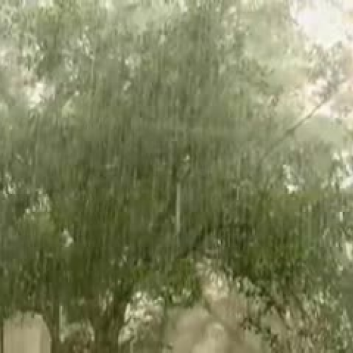 Lesson One: How to meet a Jellyfish