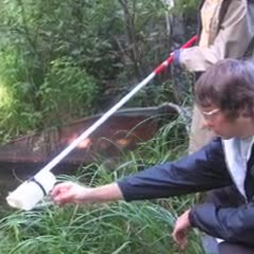 Macroinvertebrate Sampling Techniques