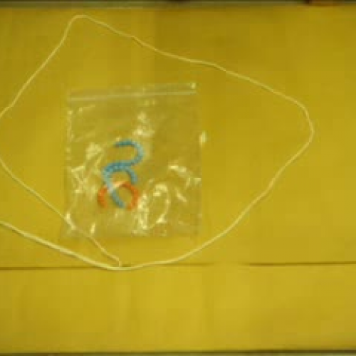 Cell Reproduction Video Student Example