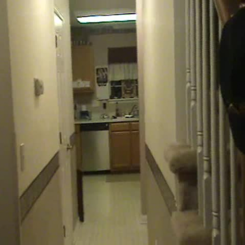 Spanish 2 Project Mi Casa