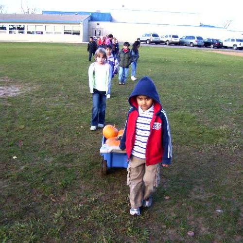 What will happen to our pumpkins?