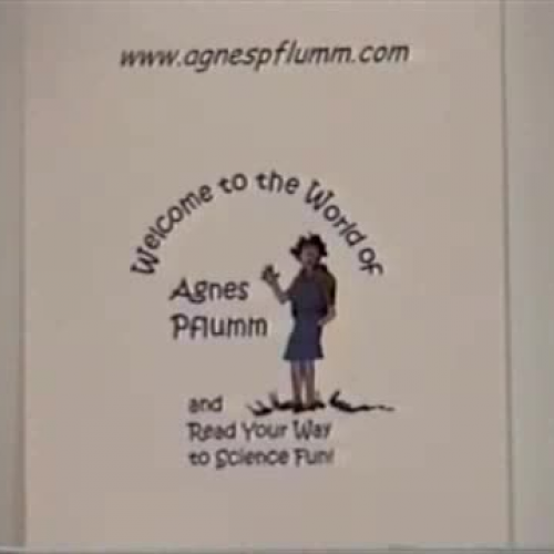 Welcome to the World of Agnes Pflumm Video In