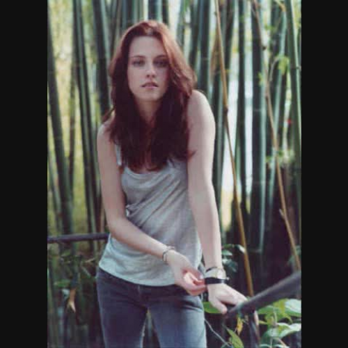 cory gautier project breaking dawn