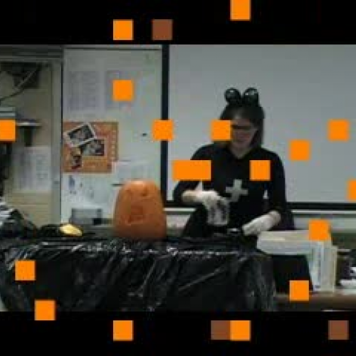 Mrs New Pumpkin Experiment
