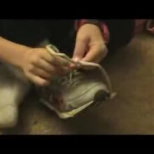 How to Tie Your Shoes