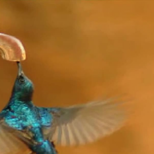 Sign in and Access Site Manager in Schoolwire