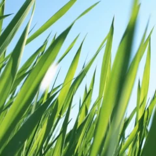 Where the Sidewalk Ends