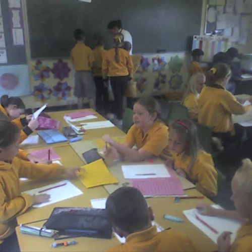 Peer Assisted Fluency Program