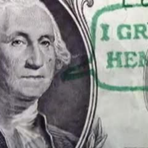 Washington Myth Buster