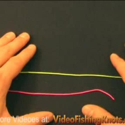 Double Four Fold Blood Knot