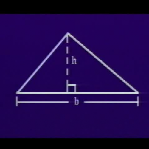 Areas of Triangles_Trapezoids_and Rhombuses