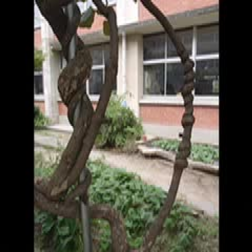 The Best School Year