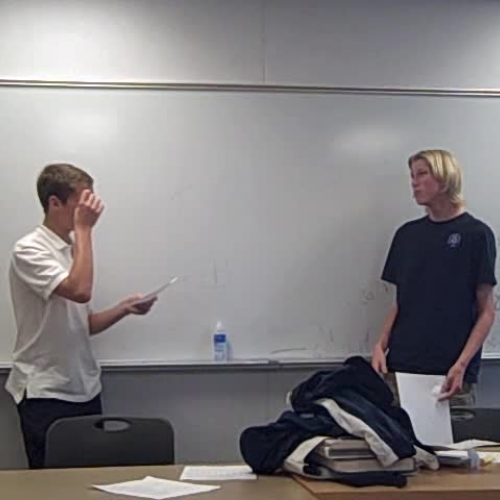 Mandarin 1 student presentation-1