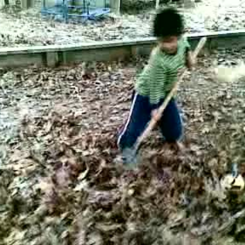 Making a Leaf Pile