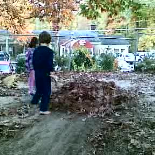 Making a Leaf Pile 2