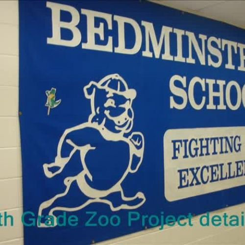 Grade 4 Science Project