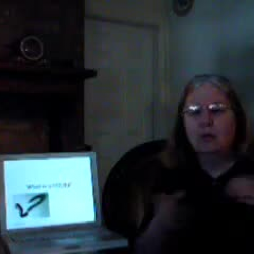 Teaching a Lesson on Nouns using Sign Languag