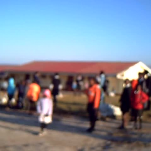 Africa Link - frisbees