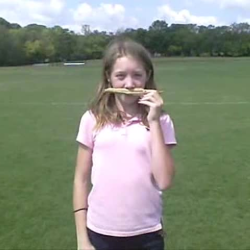 JTM FILM FESTIVAL FUN  WITH MAGIC