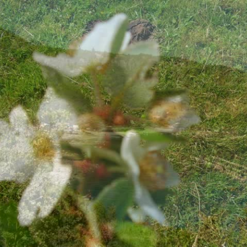 paisajes del sur de chile