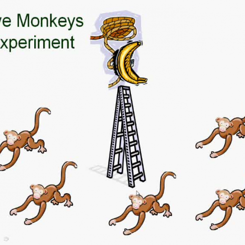 The Five Monkeys Leadership and Peer Coaching