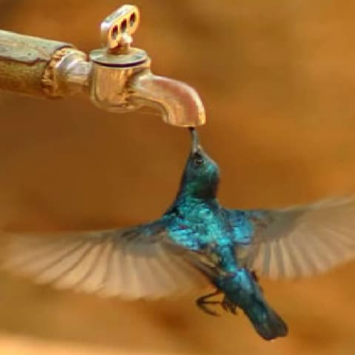 Schoolwires - Navigating in Site Manager