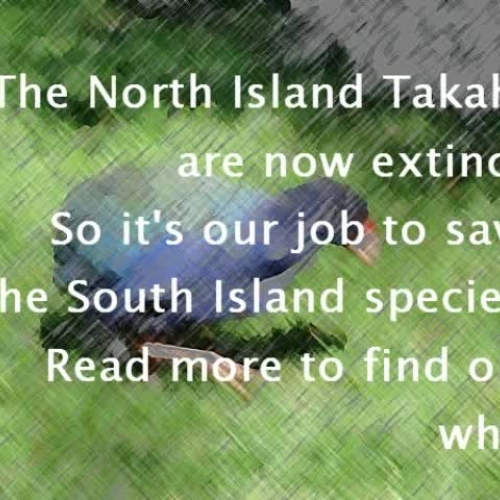 save the takahe