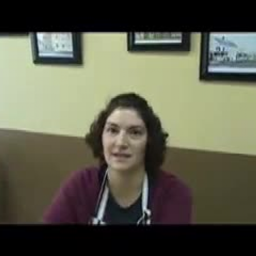 Dallas Community Survey