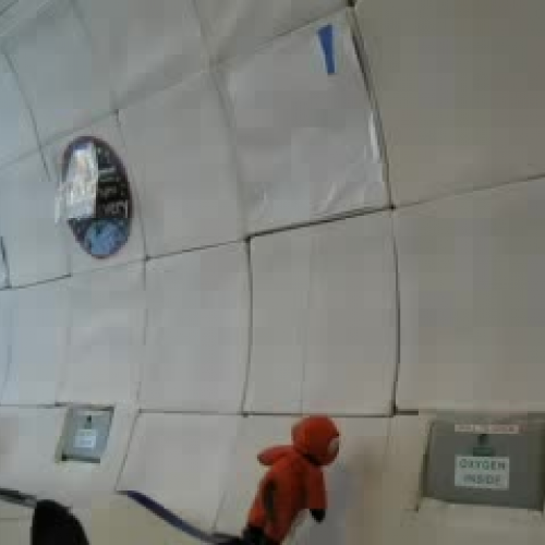 Weightless Flights of Discovery 2