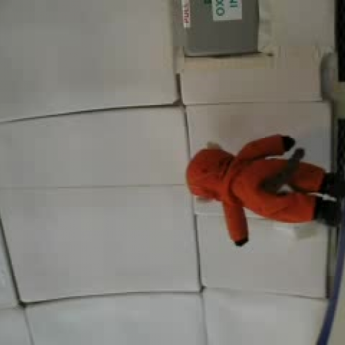 Weightless Flights of Discovery 3