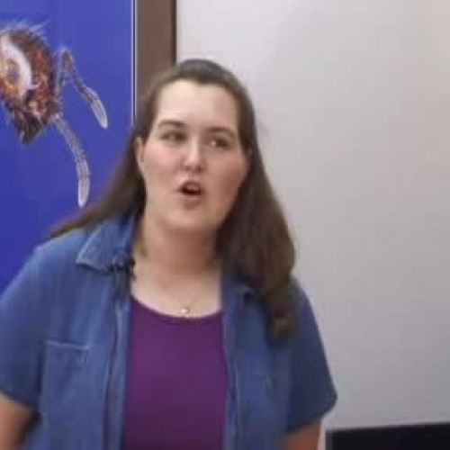 ENY 3005/5006 Welcome Video