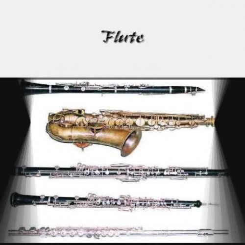 Instruments of the Orchestra Webquest