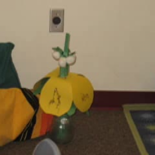 Team 4 Wisconsin Fast Plant Model Movie