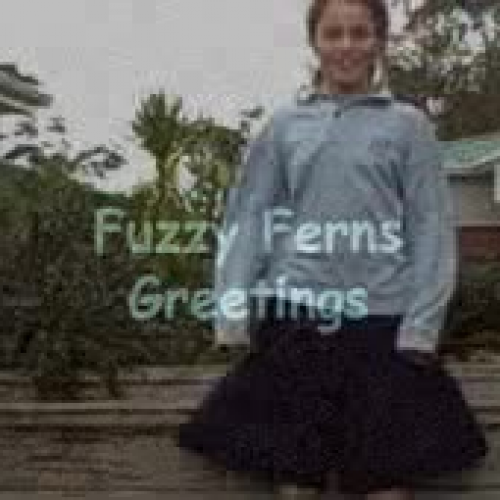 Fuzzy Ferns LLE