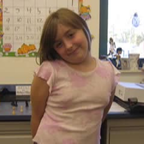 Team 3 Wisconsin Fast Plant Model Movie