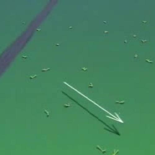 Vectors Dot and Cross Product