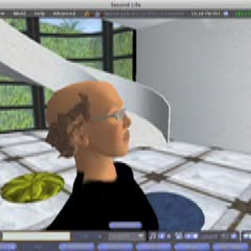 Second Life aspetti e prospettive 2