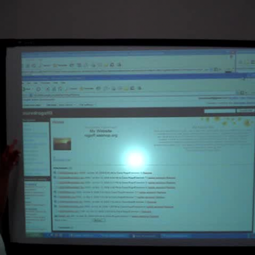 Rogoffs Inclined Planes