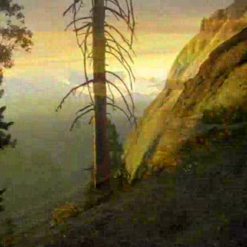 America the Beautiful