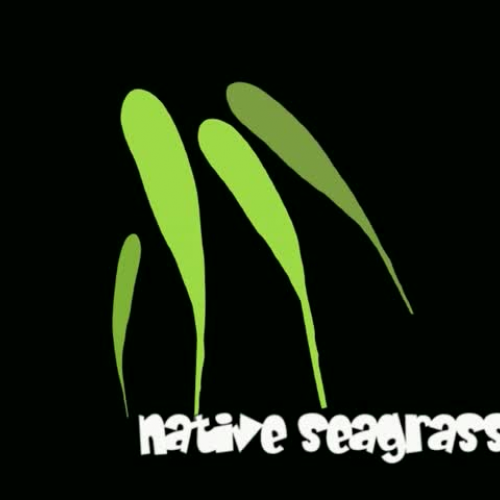 Seagrass vs Alien Algae