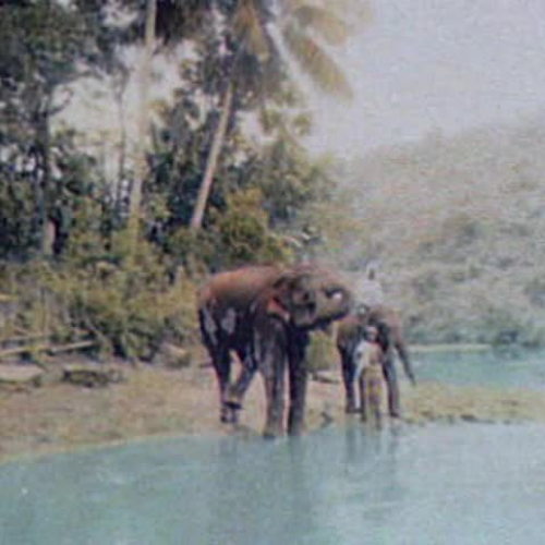 Photos by William Jackson