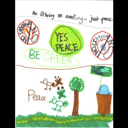 What Kind Of World Do You Want