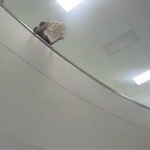 Dropping of the eggs