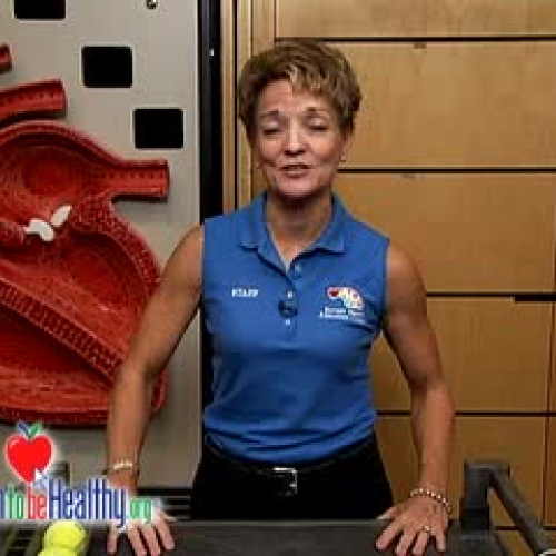 Demonstrating How Muscles Work