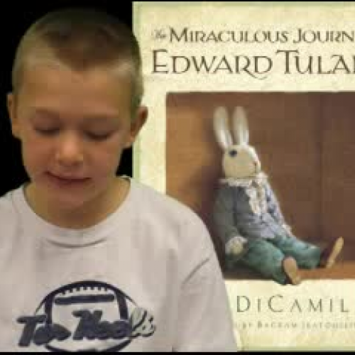 Edward Tulane Book Summary