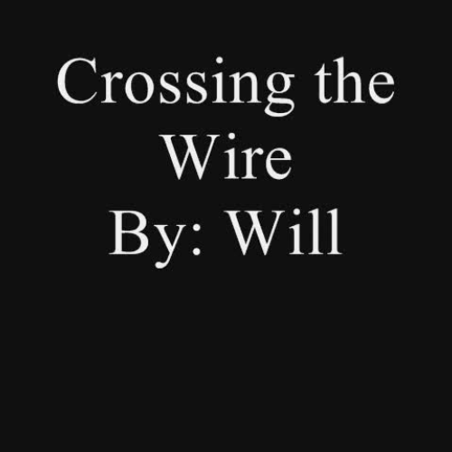 Crossing the Wire by Will Hobbs